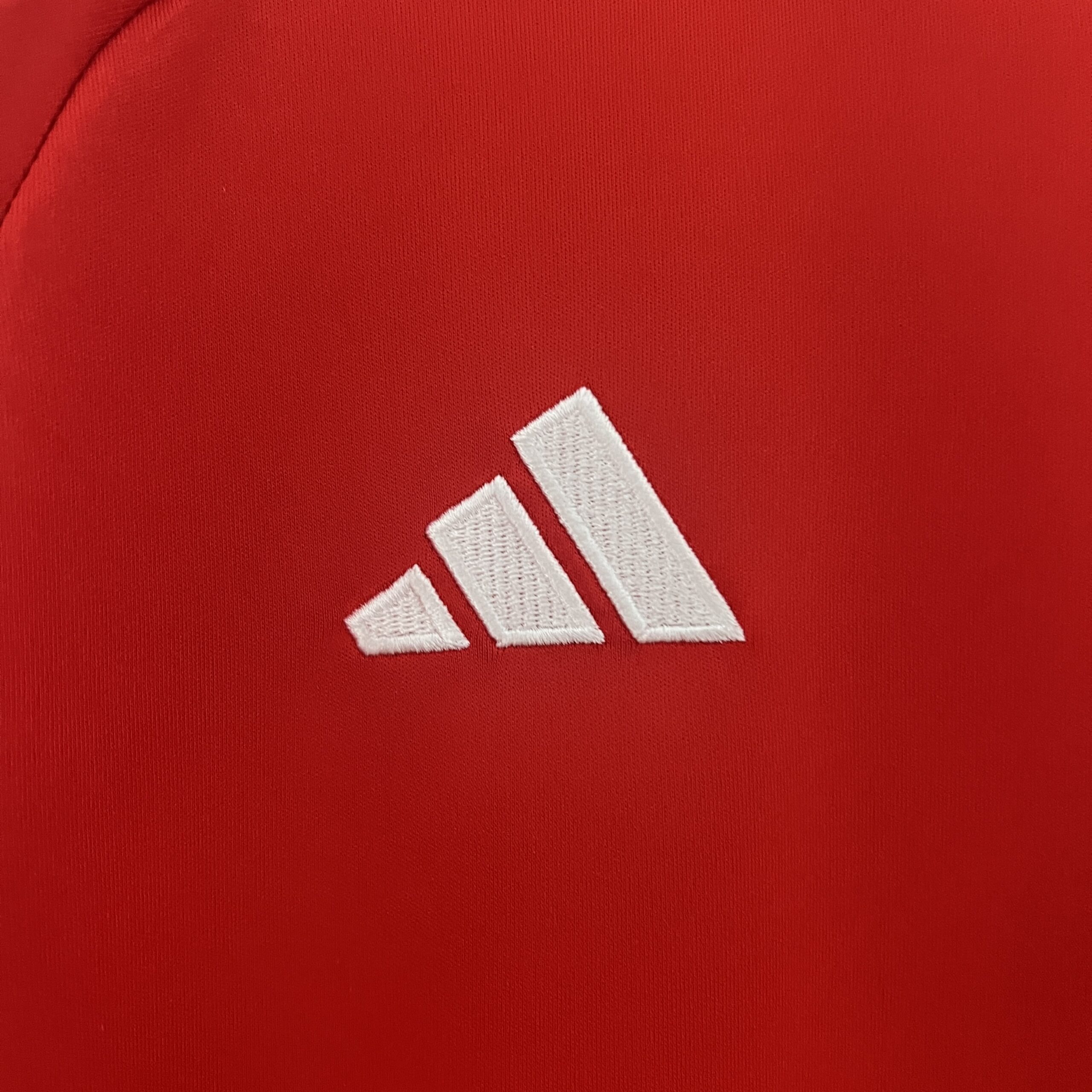 2024 Wales Home Fans Jersey - Image 6
