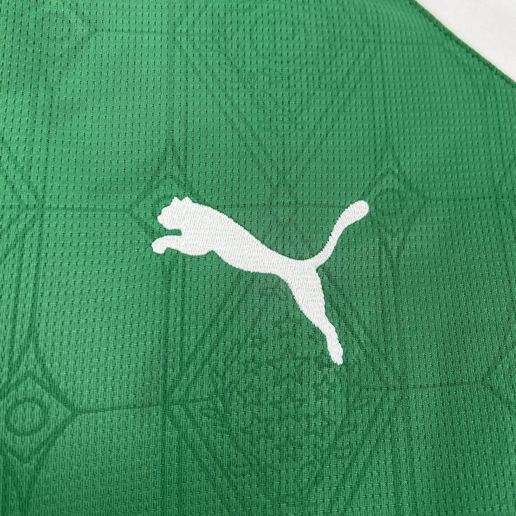 25-26 Palmeiras Home Fans Jersey - Image 4