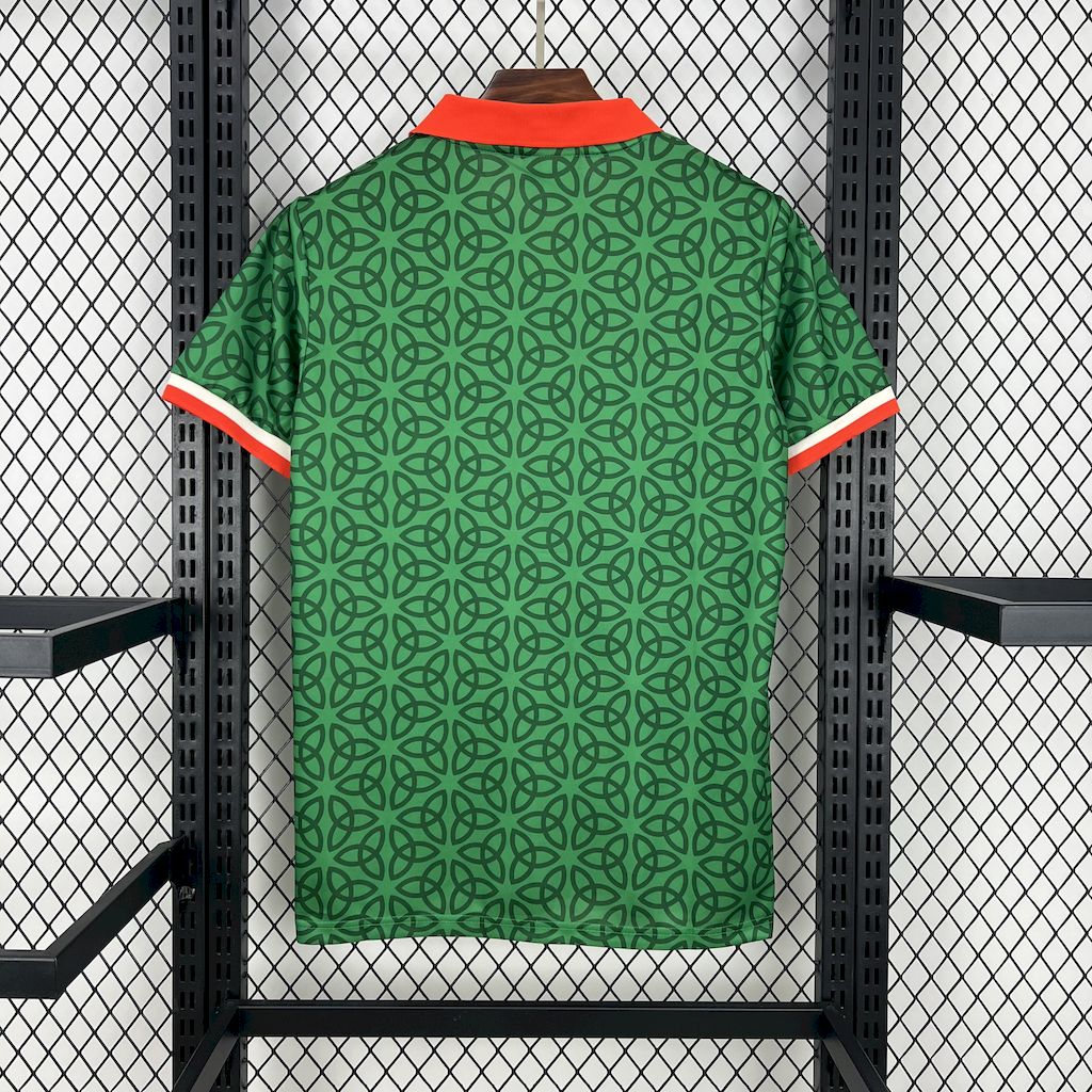 2025 Ireland Home Fans Jersey - Image 4