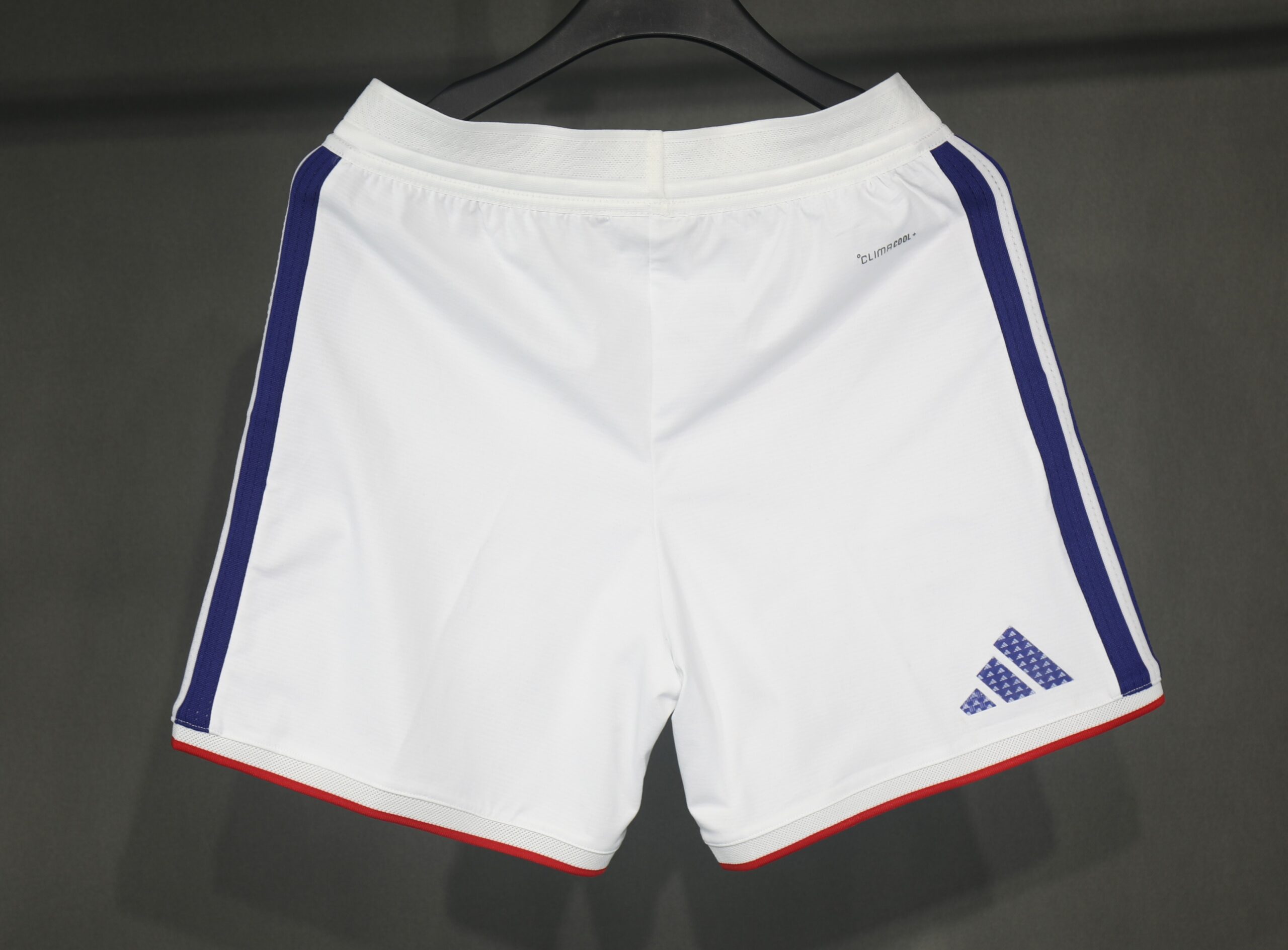 2026 Japan Home Player Shorts / 2026 - Image 4