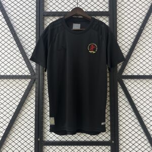24-25 Aston Villa Black 125 Years Fans Jersey