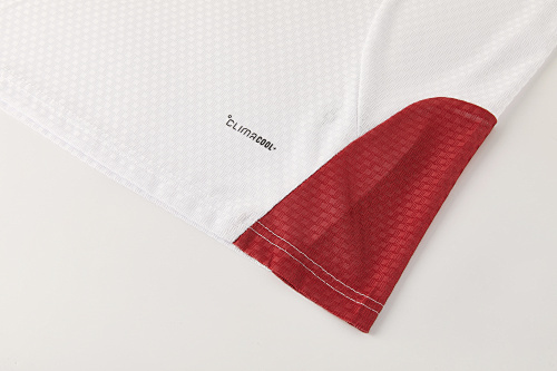 2026 Germany Short Sleeve Training Suit - Image 8