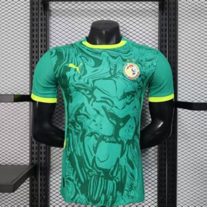 2025 Senegal Away 2 stars Player Jersey