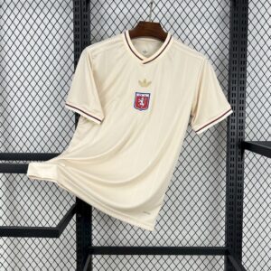 24-25 Lyon Special Jersey