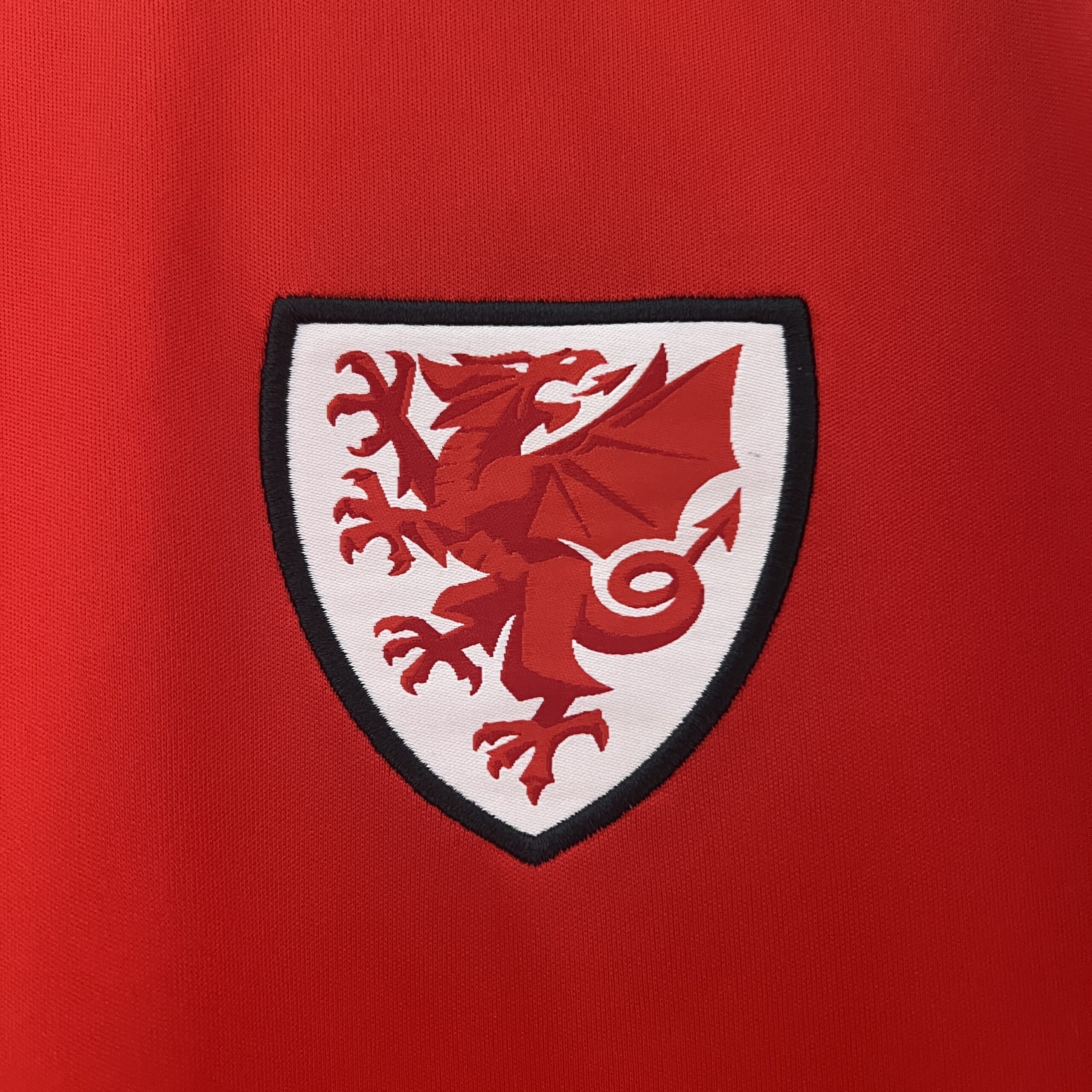 2024 Wales Home Fans Jersey - Image 3