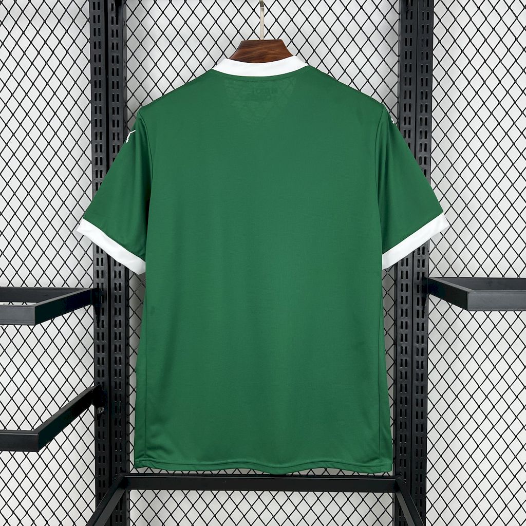25-26 Palmeiras Home Fans Jersey - Image 6