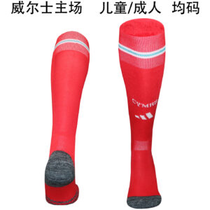 2026 Wales Home Socks