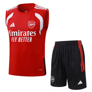 26-27 Arsenal Training Vest Suit/26-27