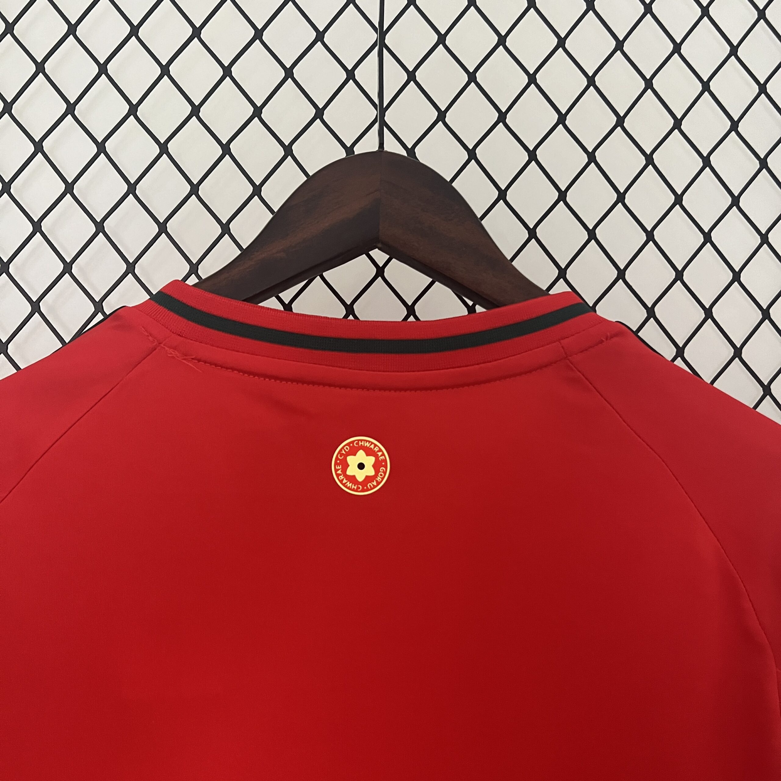 2024 Wales Home Fans Jersey - Image 7