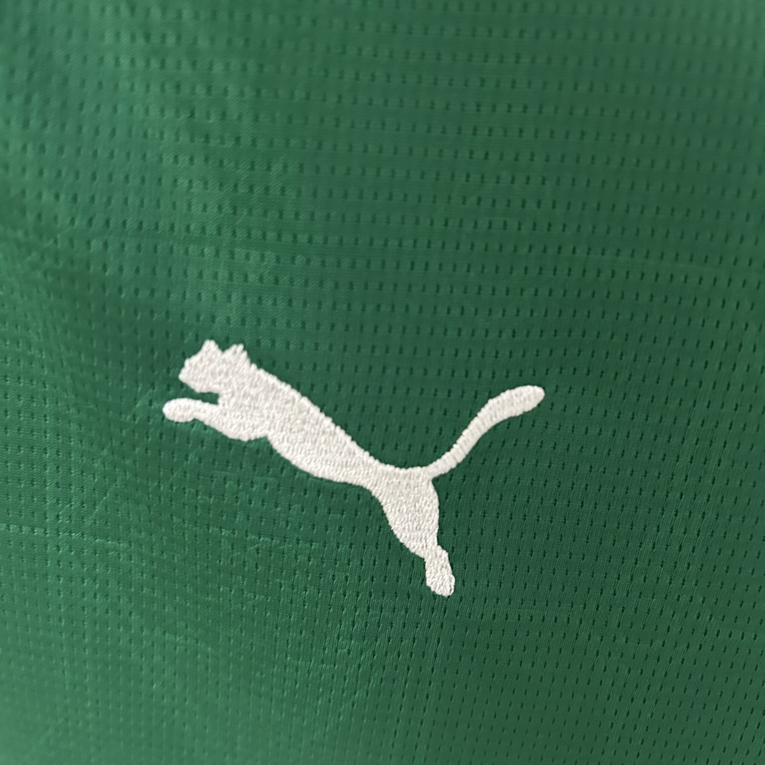 25-26 Palmeiras Home Woman Jersey - Image 4
